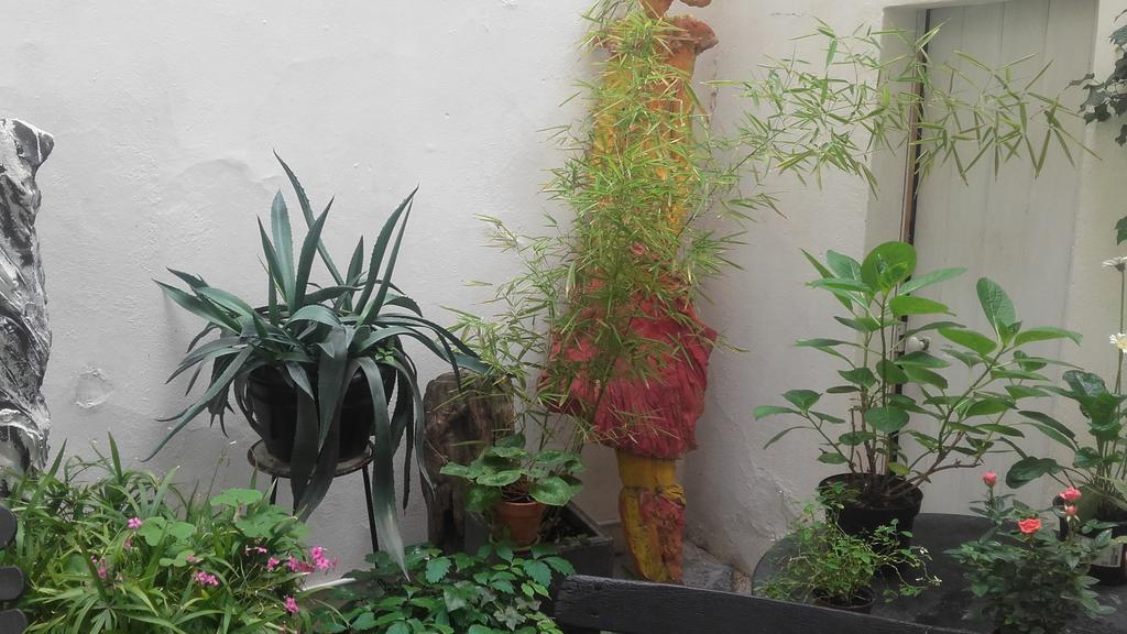 O Anges Bed & Breakfast Arles Exterior photo